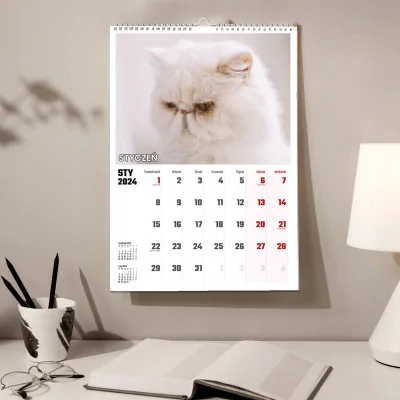 Kalendarz ścienny Na Rok 2024 Koty Kotki Wieloplanszowy A3