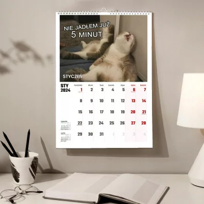 Kalendarz ścienny Na Rok 2024 śmieszne Koty Kotki Wieloplanszowy A4