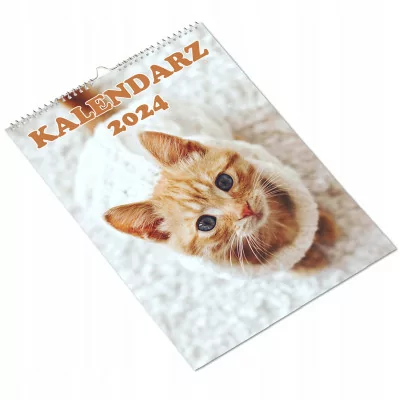 Kalendarz ścienny Na Rok 2024 Koty Kotki Cat Wieloplanszowy A4