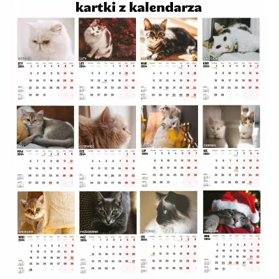 Kalendarz ścienny Na Rok 2024 Koty Kotki Cat Wieloplanszowy A4